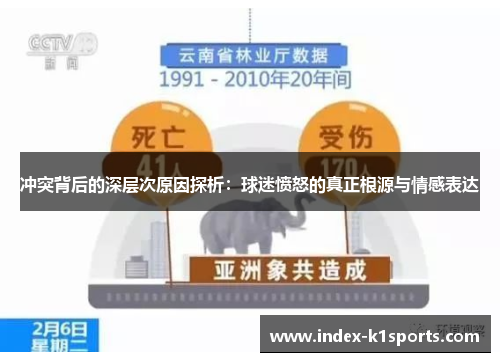 冲突背后的深层次原因探析：球迷愤怒的真正根源与情感表达