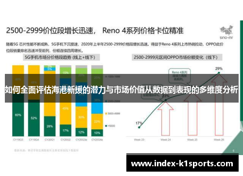 如何全面评估海港新援的潜力与市场价值从数据到表现的多维度分析