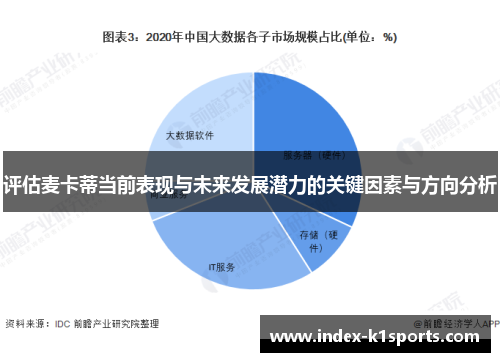 评估麦卡蒂当前表现与未来发展潜力的关键因素与方向分析 评估麦卡蒂当前表现与未来发展潜力的关键因素与方向分析