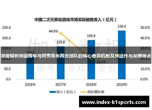 深度解析埃因青年与阿贾青年两支球队的核心差异机制及其运作与发展特点 深度解析埃因青年与阿贾青年两支球队的核心差异机制及其运作与发展特点